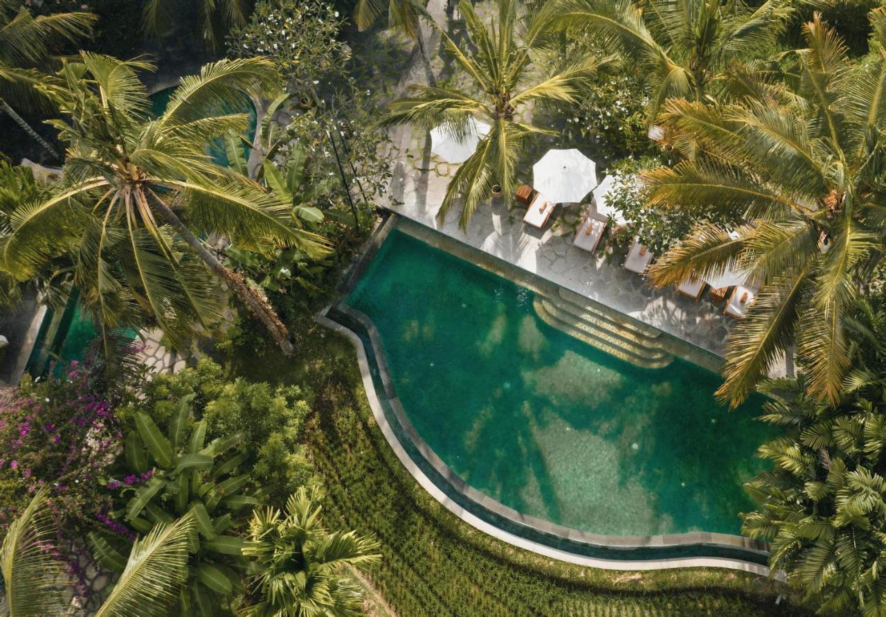 Alaya Resort Ubud Exterior foto The swimming pool at the hotel