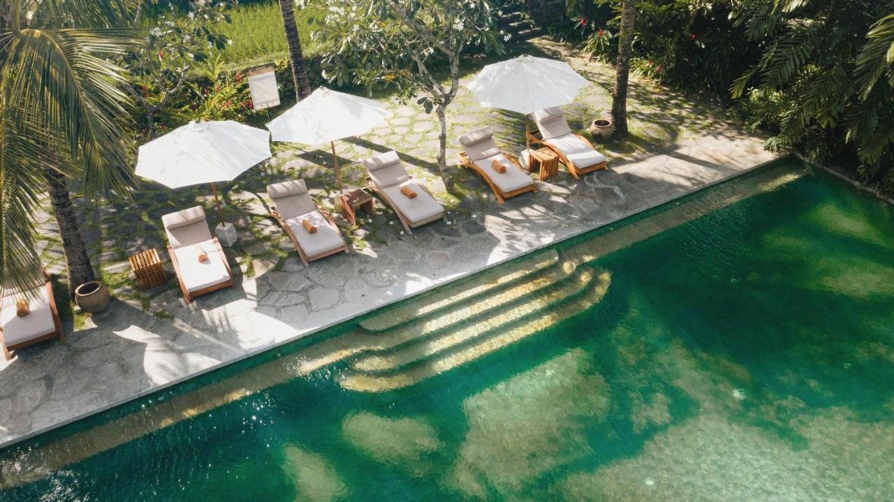 Alaya Resort Ubud Exterior foto The swimming pool at the hotel