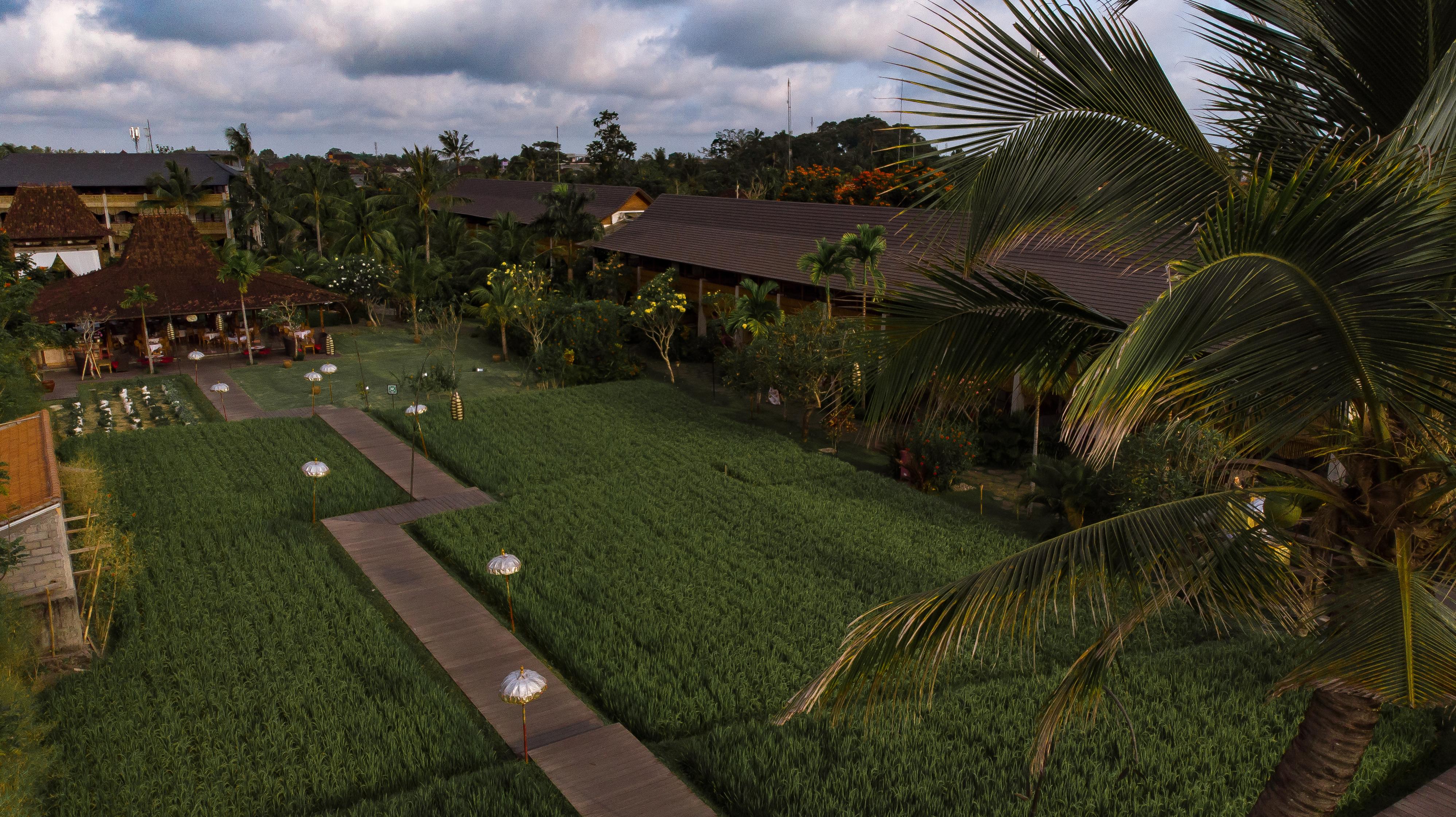 Alaya Resort Ubud Exterior foto The resort's grounds