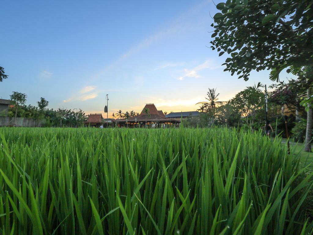 Alaya Resort Ubud Exterior foto A view of the village of Jatimulya